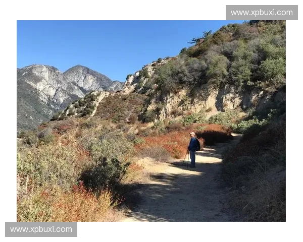 风暴再临英雄联盟新篇章挑战极限对决揭示未来战斗新规则